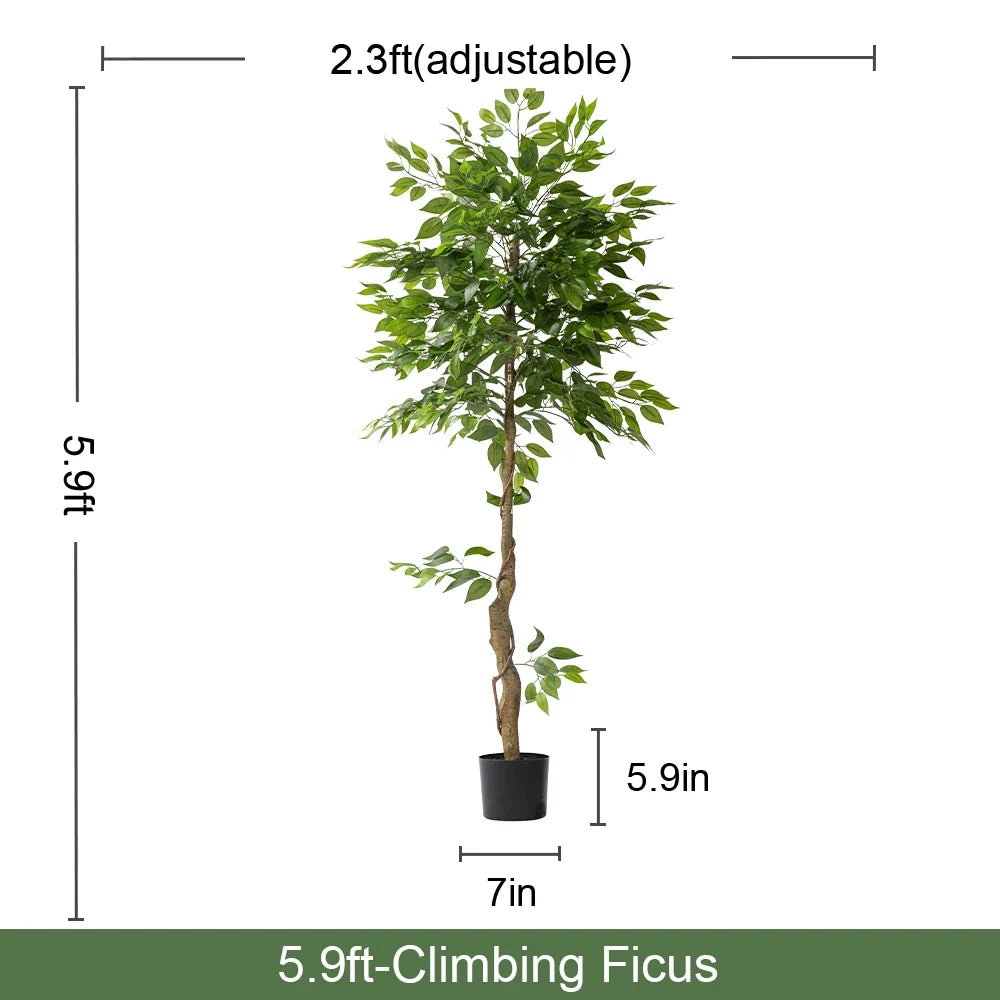 Pot and base of the artificial ficus bonsai, topped with moss and gravel