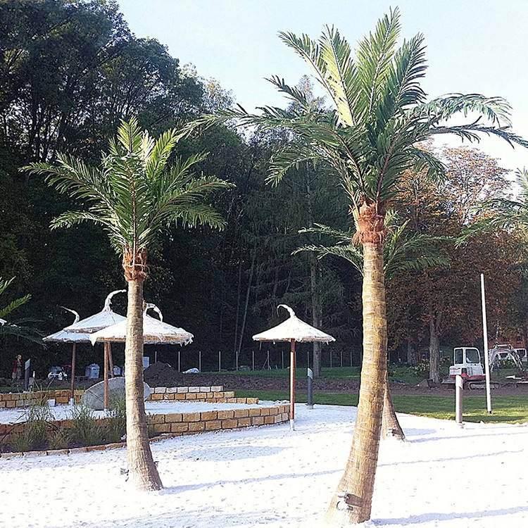 Coconut palms planted along a resort frontage as large-scale landscape features