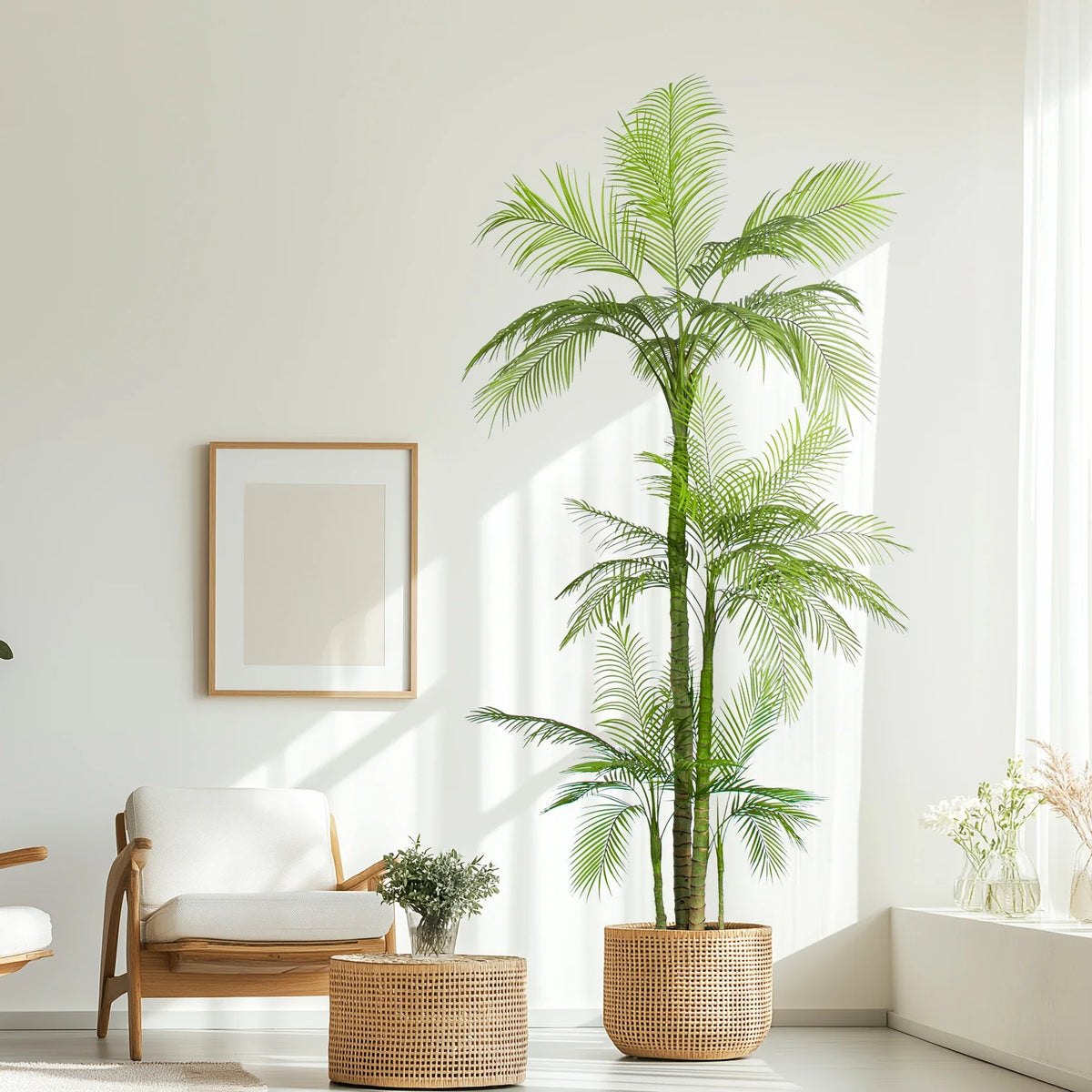 The slim cane stems of the 7ft areca rising in a cluster from the pot