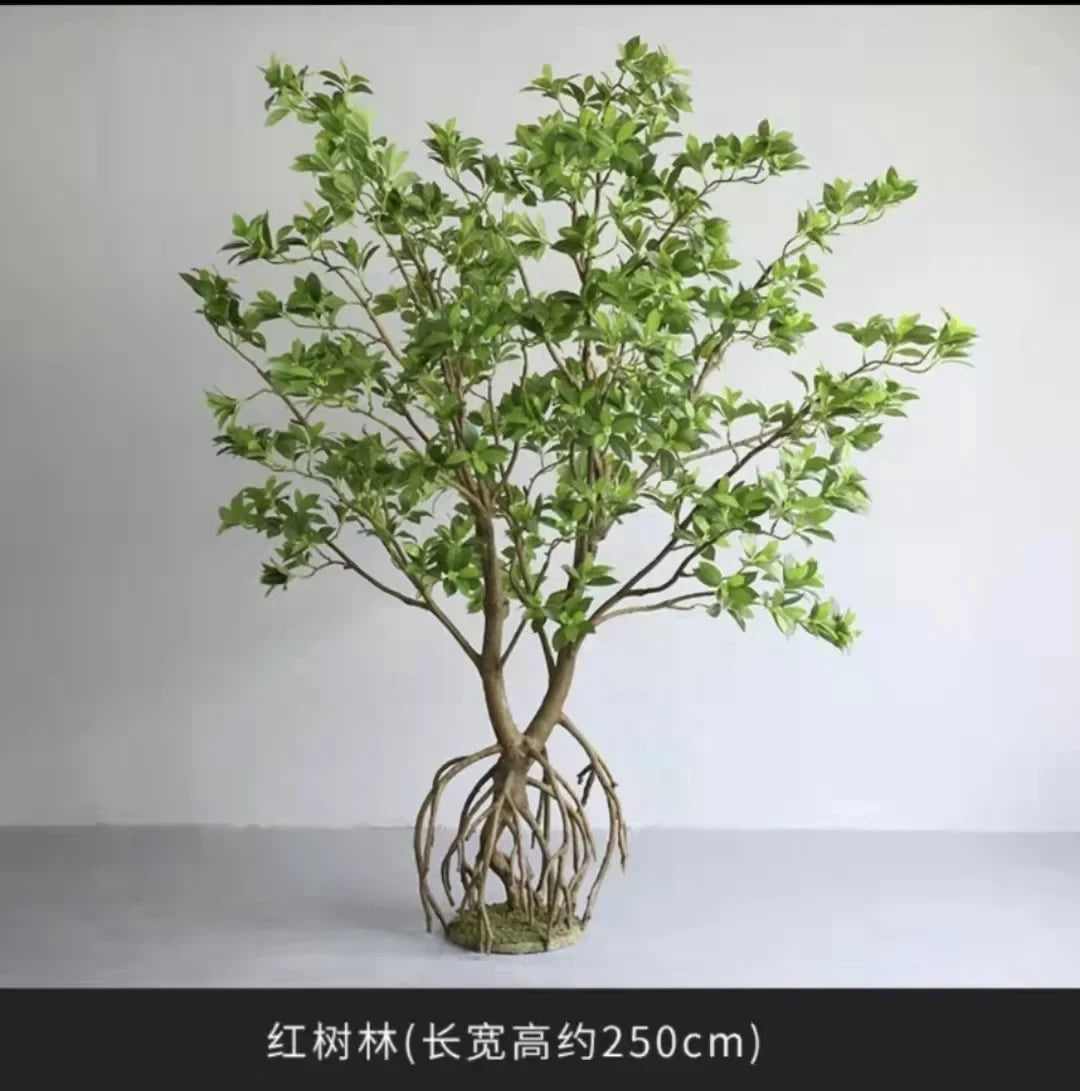 The 8ft mangrove in an office interior, branches reaching over a seating area
