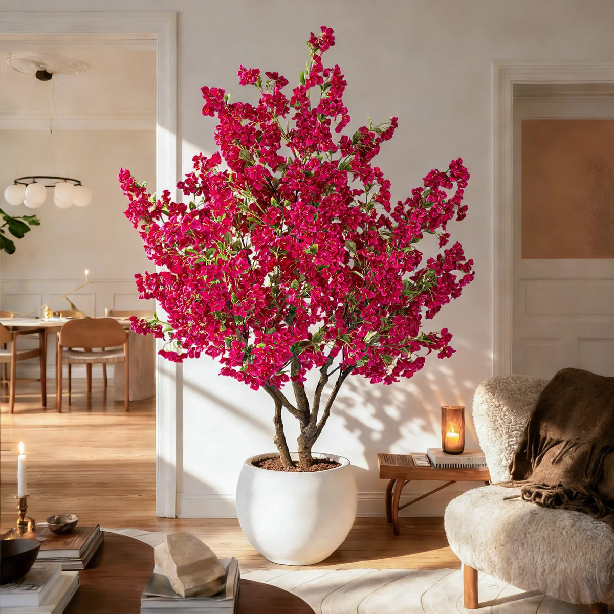 A single flowering stem of the bougainvillea shown apart from the tree