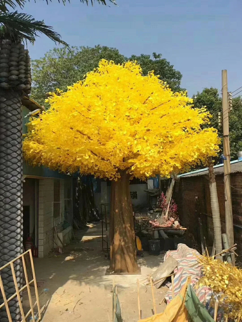 Base of the ginkgo tree where the trunk sets into its floor planter