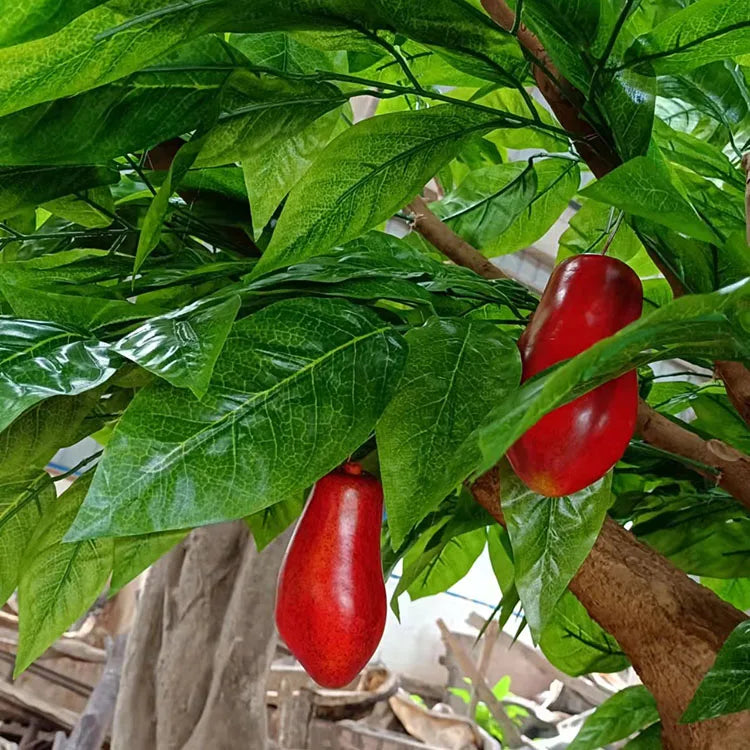 Close-up of a cocoa pod set against the trunk among the broad green leaves