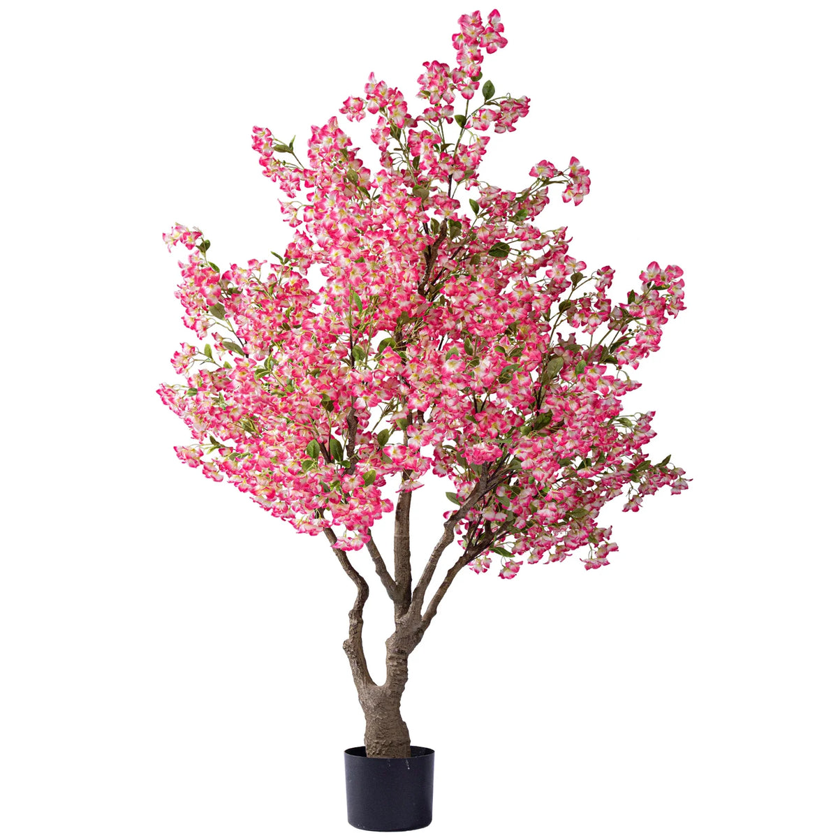 A single sakura branch shown apart, blossoms clustered along its length