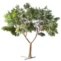 Artificial acacia tree 10ft tall, fine silk foliage spread over flat-topped branches