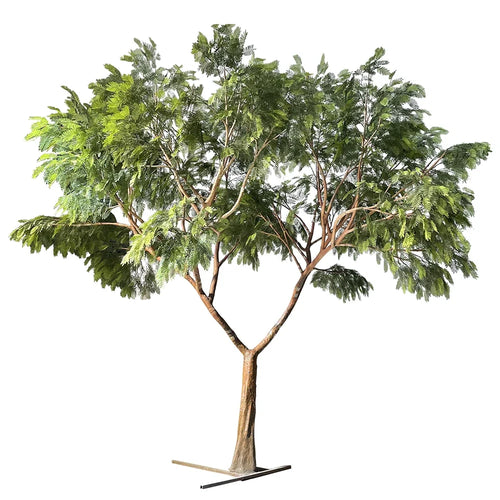 Artificial acacia tree 10ft tall, fine silk foliage spread over flat-topped branches