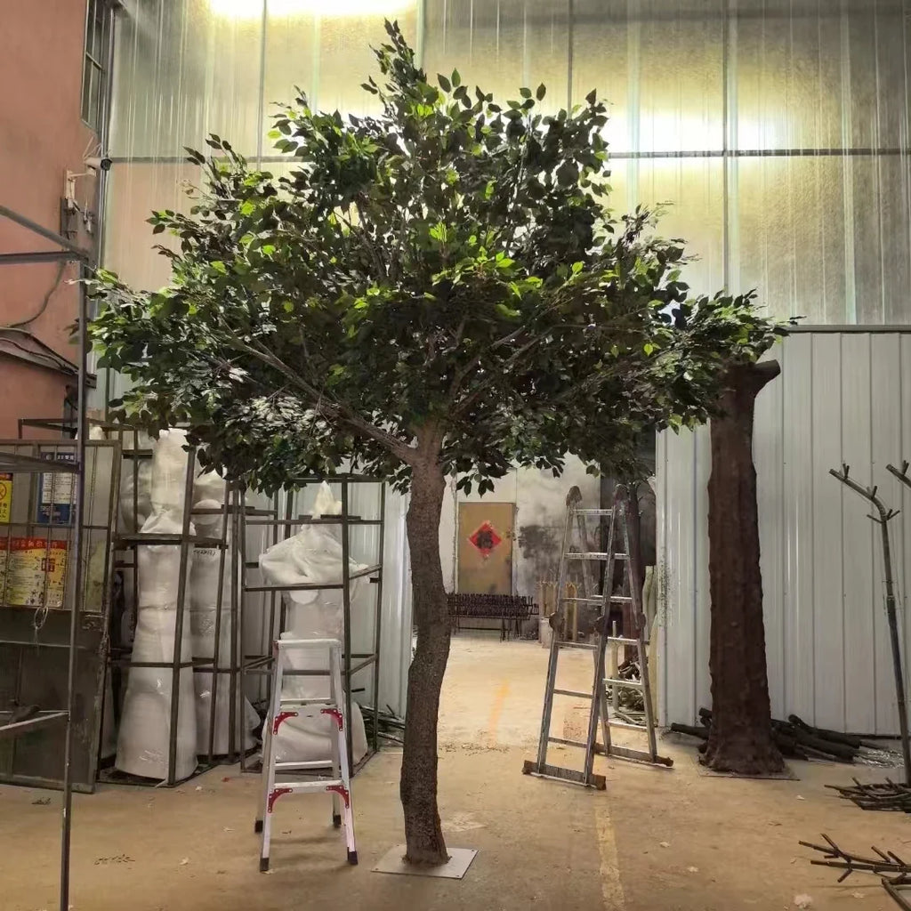 The 13ft banyan in a hotel lobby, canopy reaching high above the floor