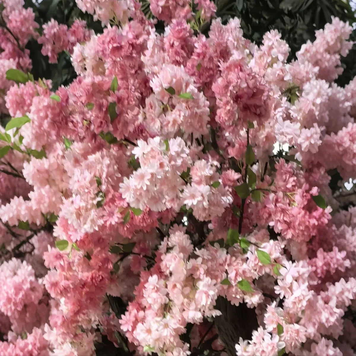Pot and base of the 5ft artificial cherry blossom tree, topped with moss
