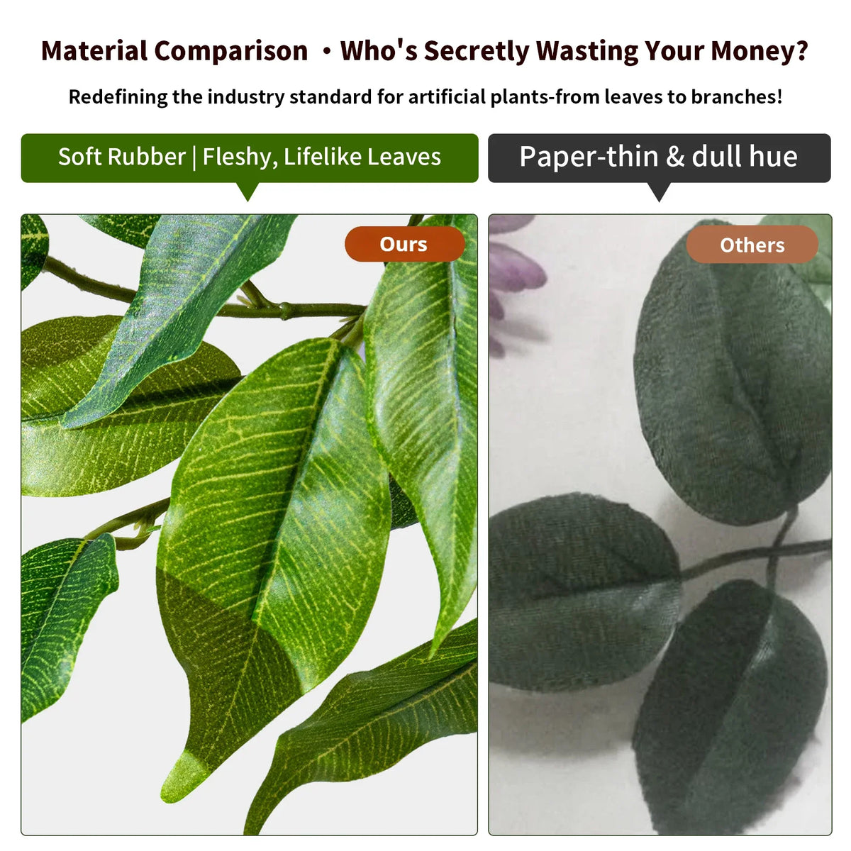 The ficus benjamina in an office standing beside a desk and glazed partition