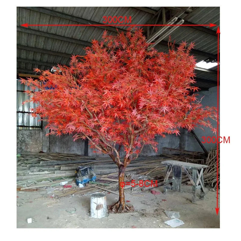 The 10ft red maple used as an indoor display piece beside a plain wall