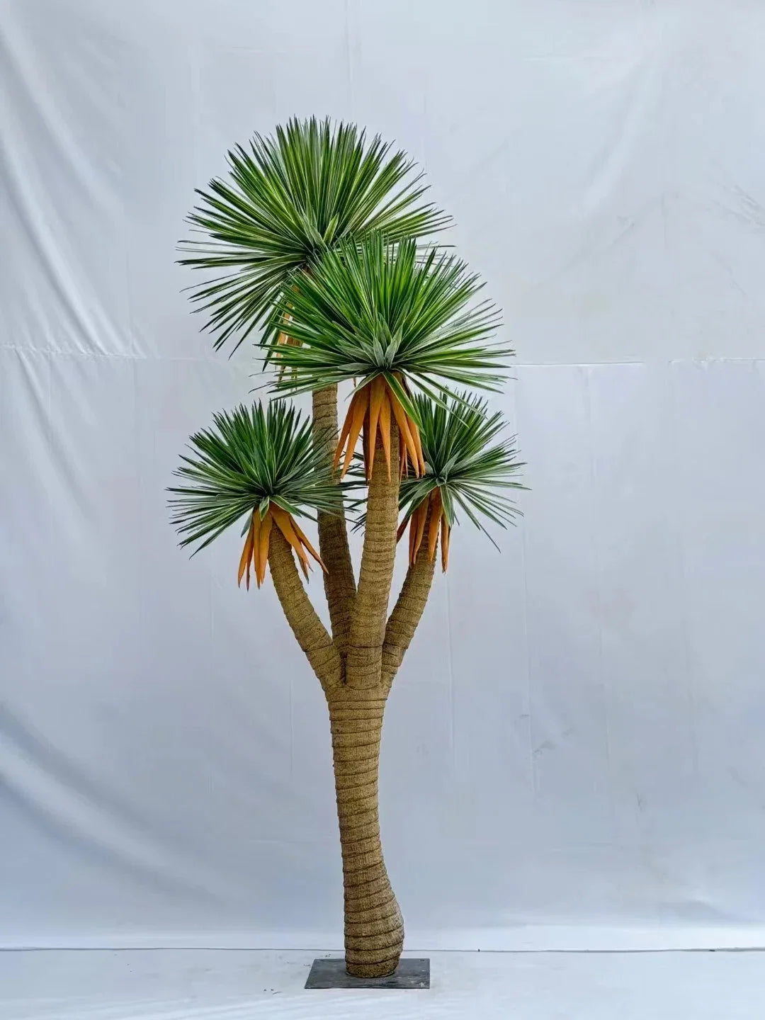 Branch tips with the leaves layered up to build a dense green surface