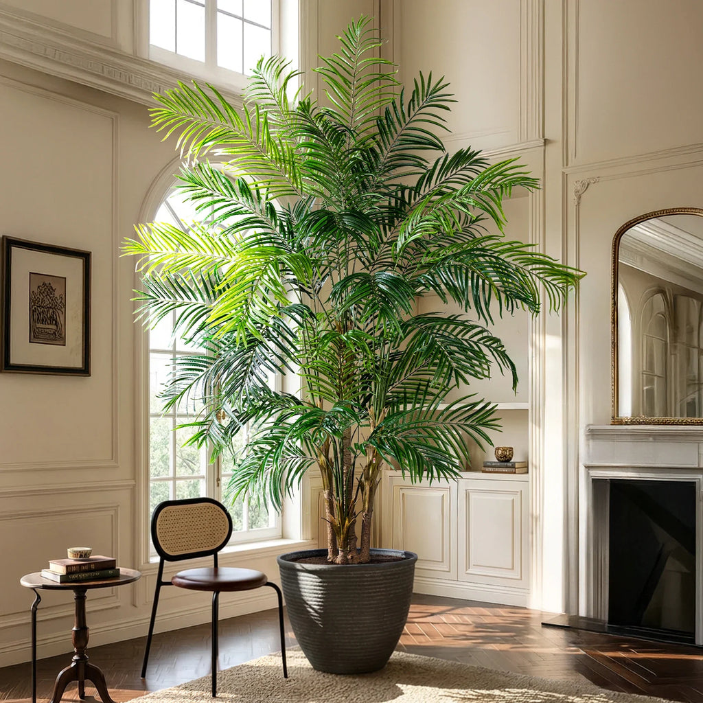 The slim bamboo-like canes of the lady palm rising in a cluster from the pot