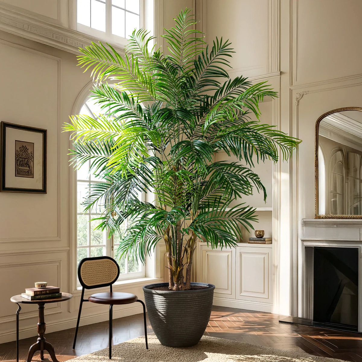 The slim bamboo-like canes of the lady palm rising in a cluster from the pot