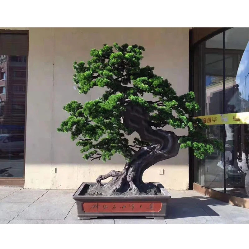 Artificial pine bonsai 170cm (5.5ft) tall, branches trained into layered pads