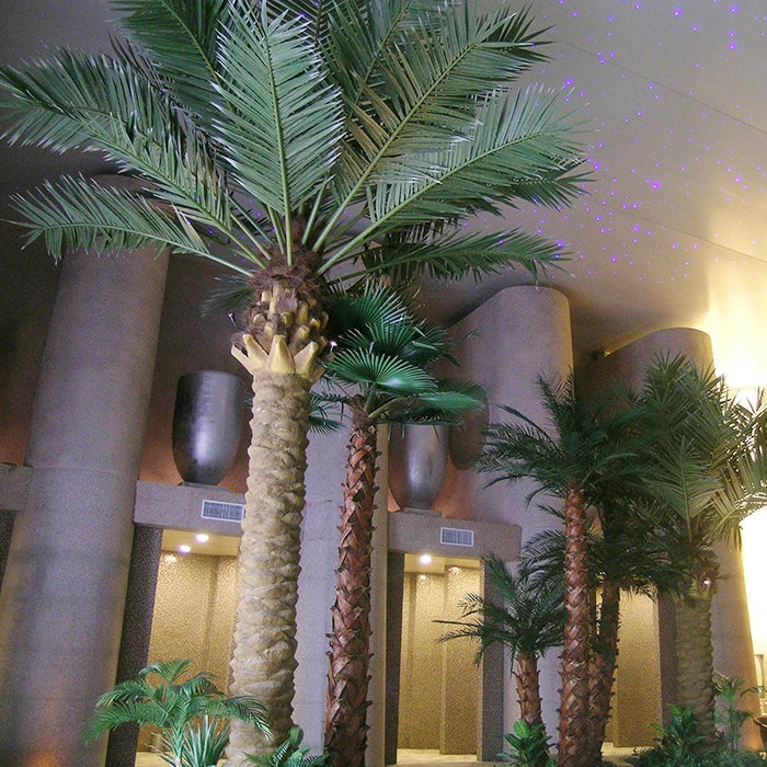 Fronds of the date palm seen from below against a bright outdoor sky