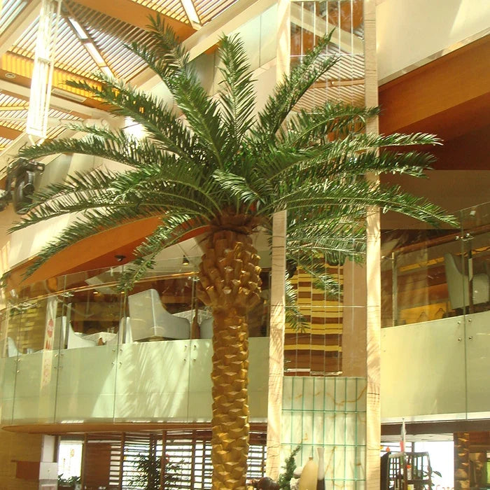 Base of the outdoor date palm where the trunk sets into the ground