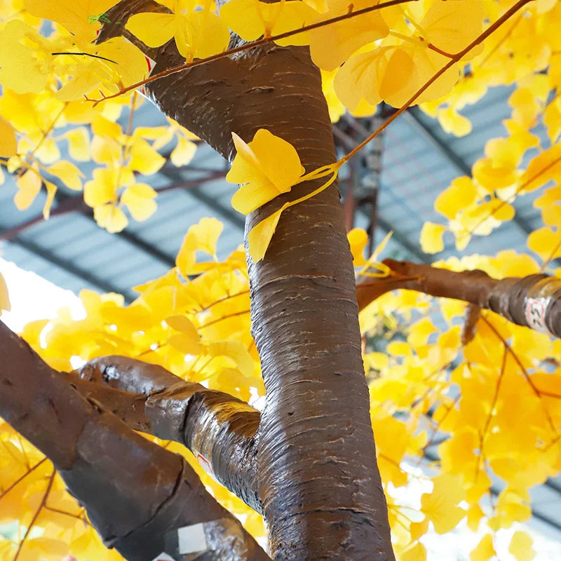 The ginkgo tree used as a centrepiece in an exhibition display space