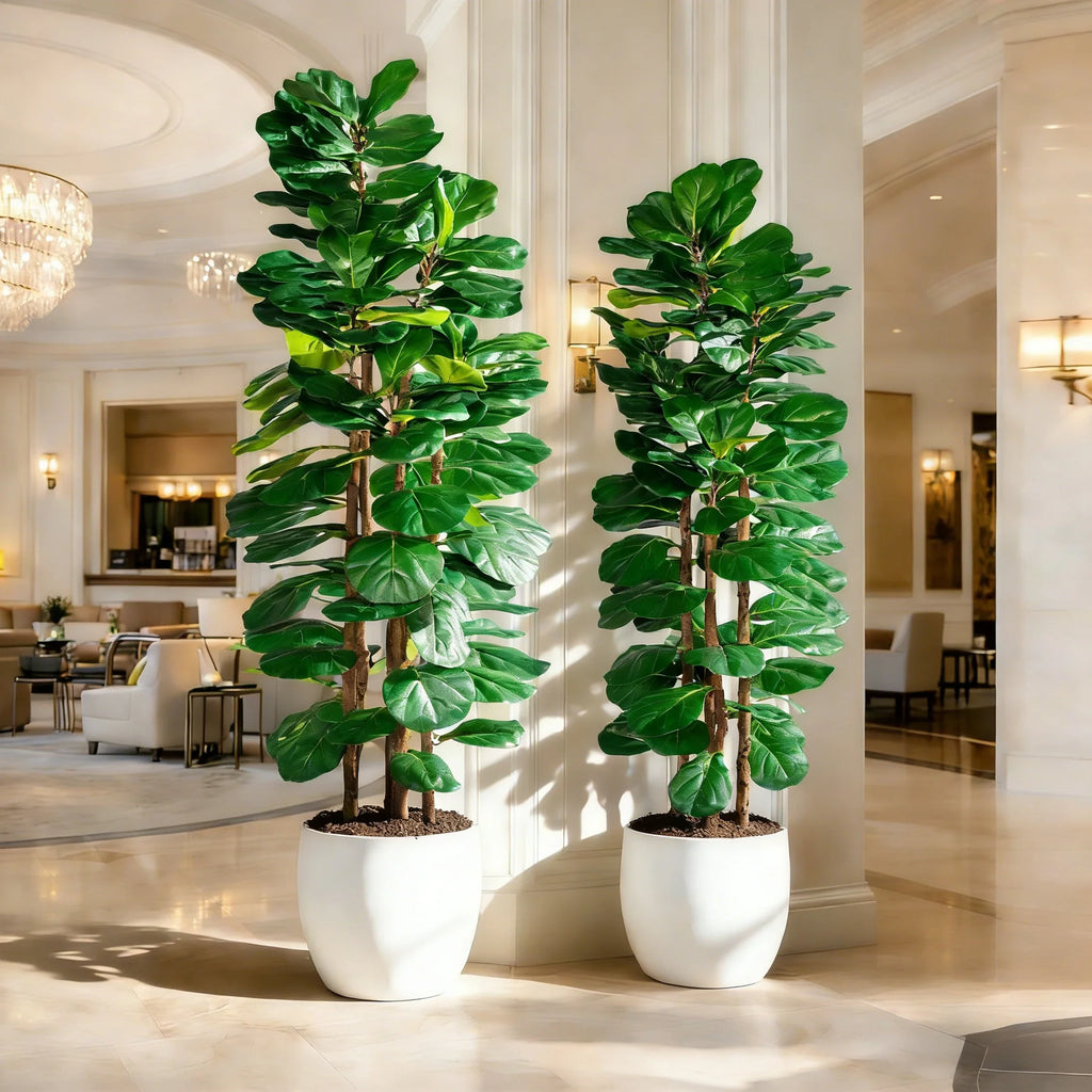 The crown of the ficus tree seen from below against a bright ceiling