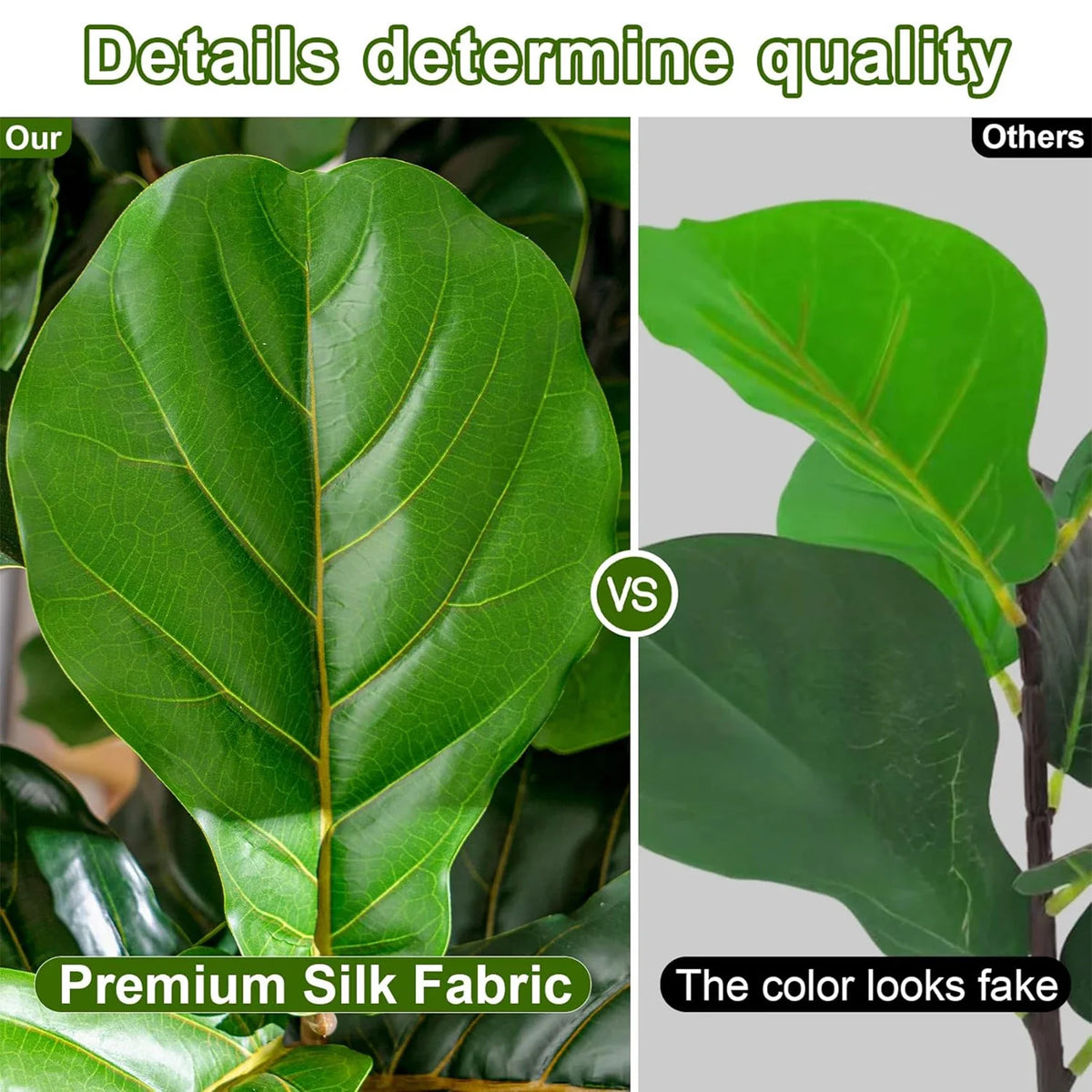 Leaves of the fiddle leaf fig fanning out from the top of the stem