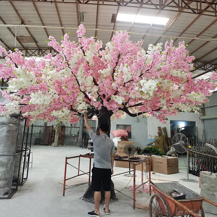 Close-up of the pink and white cherry blossoms clustered along the slim twigs