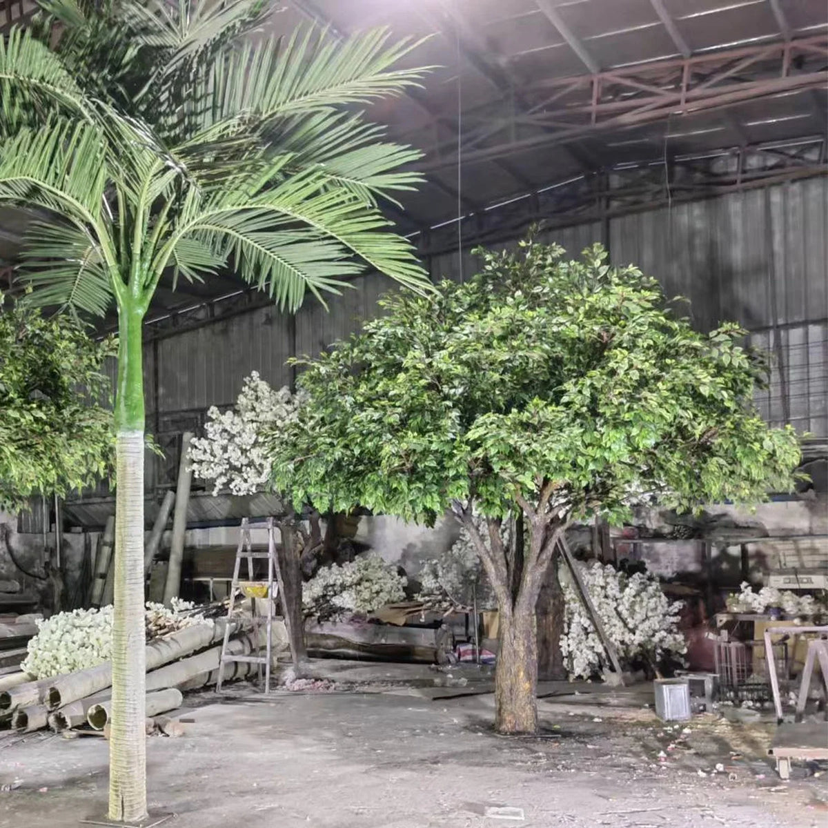 The same banyan used indoors with its canopy spreading above the floor