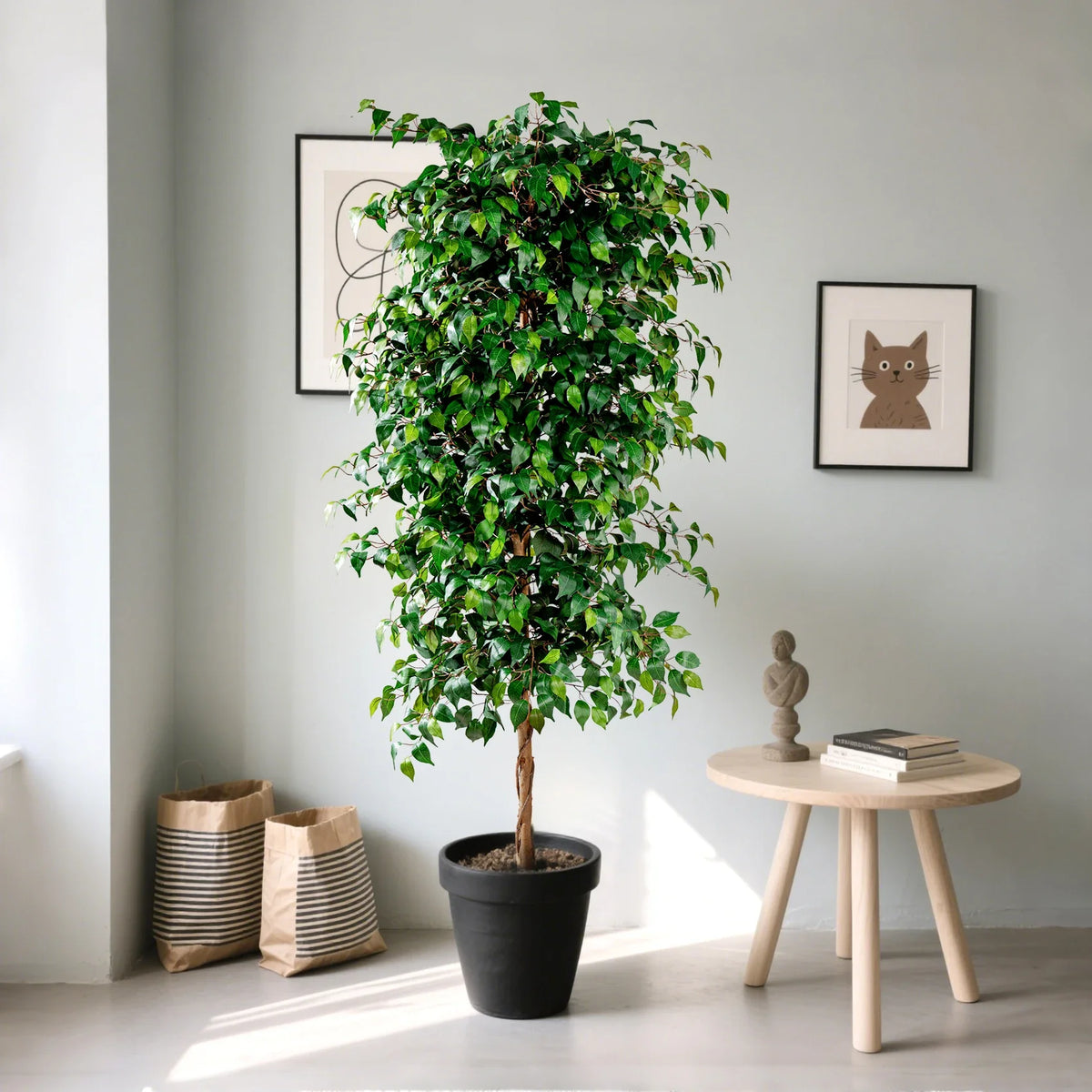 The 4ft artificial fig tree used as an indoor display piece on a side table