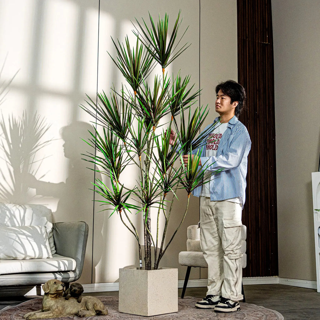 The potted yucca tree in a hotel reception standing beside the front desk