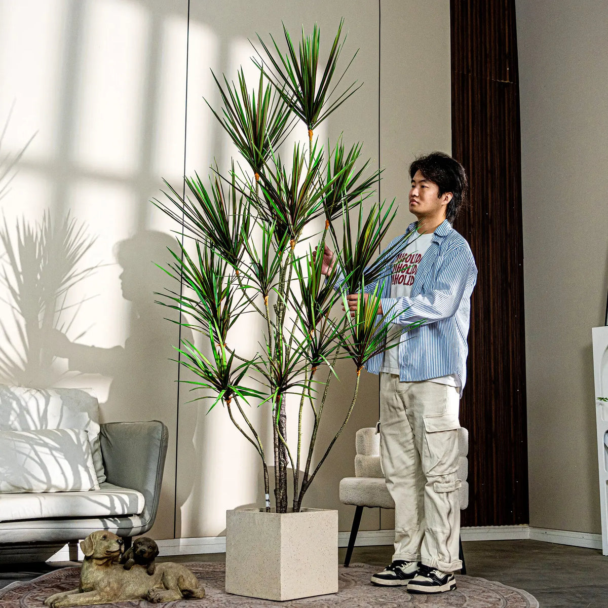 The potted yucca tree in a hotel reception standing beside the front desk