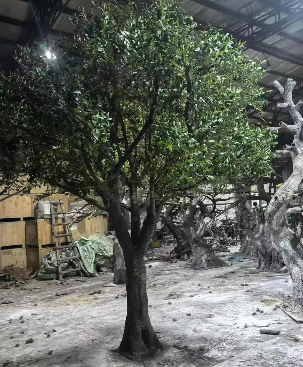 The trunk of the 4m LED olive tree, textured with deep gnarled bark