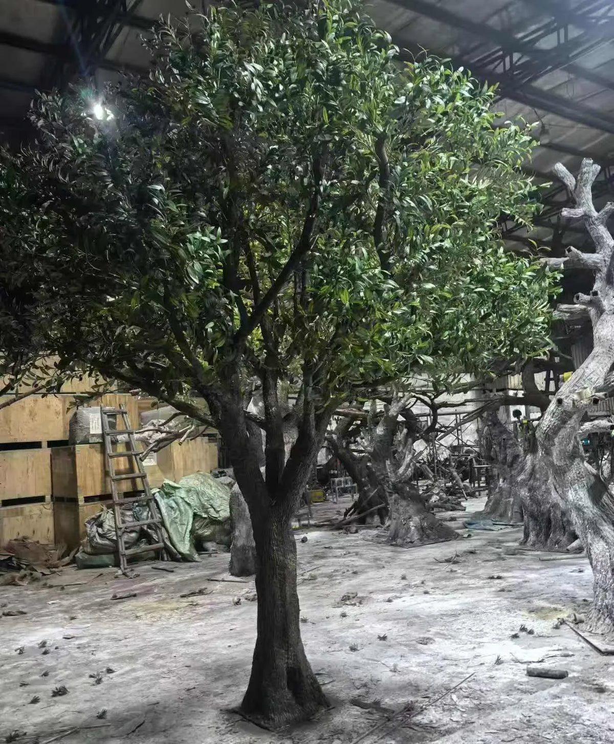 The trunk of the 4m LED olive tree, textured with deep gnarled bark