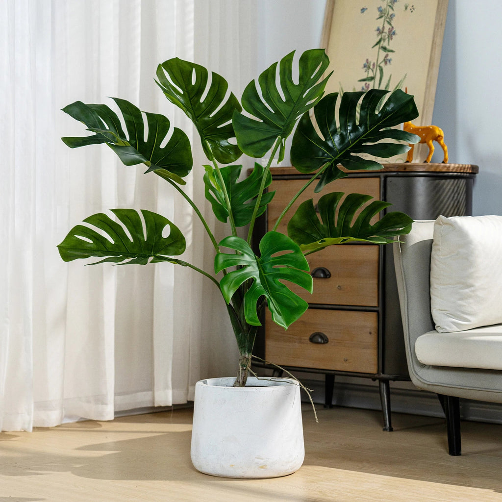 The stems of the 7.5ft monstera tree rising together from the base of the plant