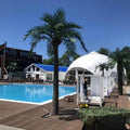 Artificial coconut palm 2m tall with a glass-fibre trunk and deep army-green fronds