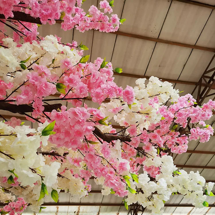 The branch frame of the 10ft sakura tree showing through the massed blossom