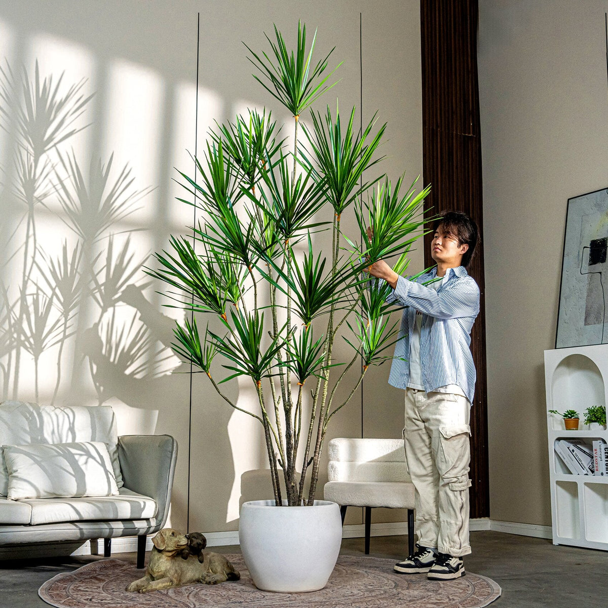 Artificial dracaena yucca 8ft tall, with spiky leaf crowns set on bare woody canes