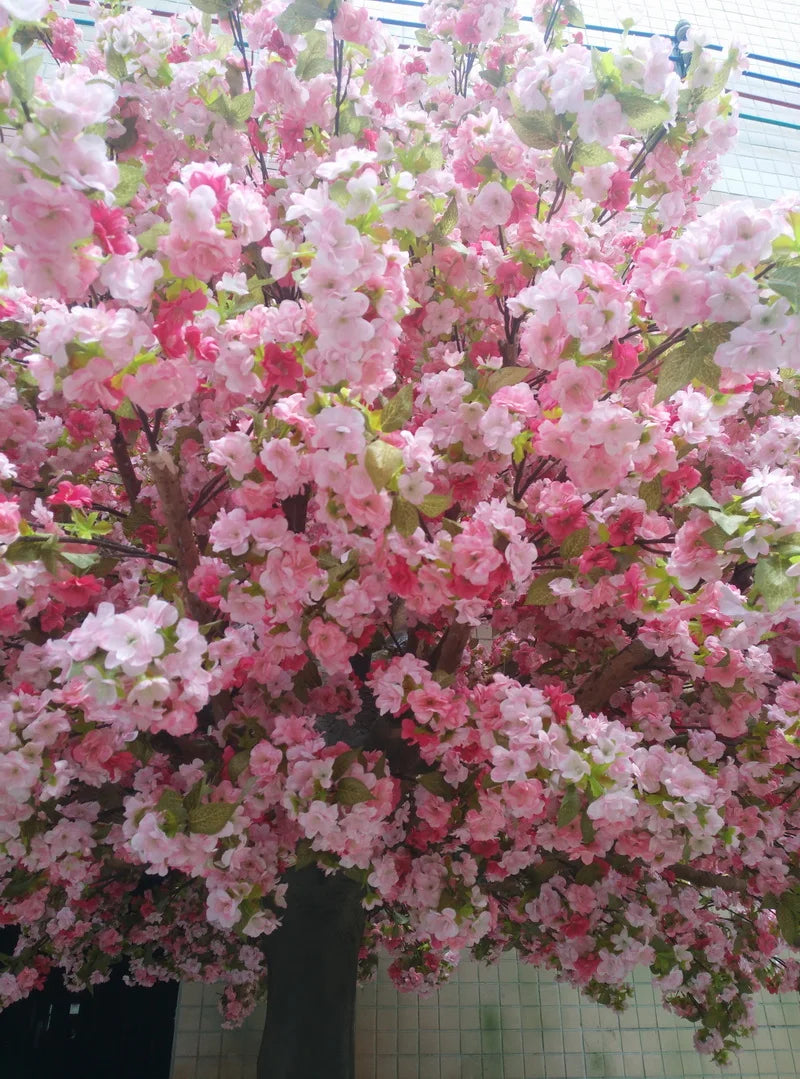 The crown of the 16ft blossom tree seen from below against the ceiling