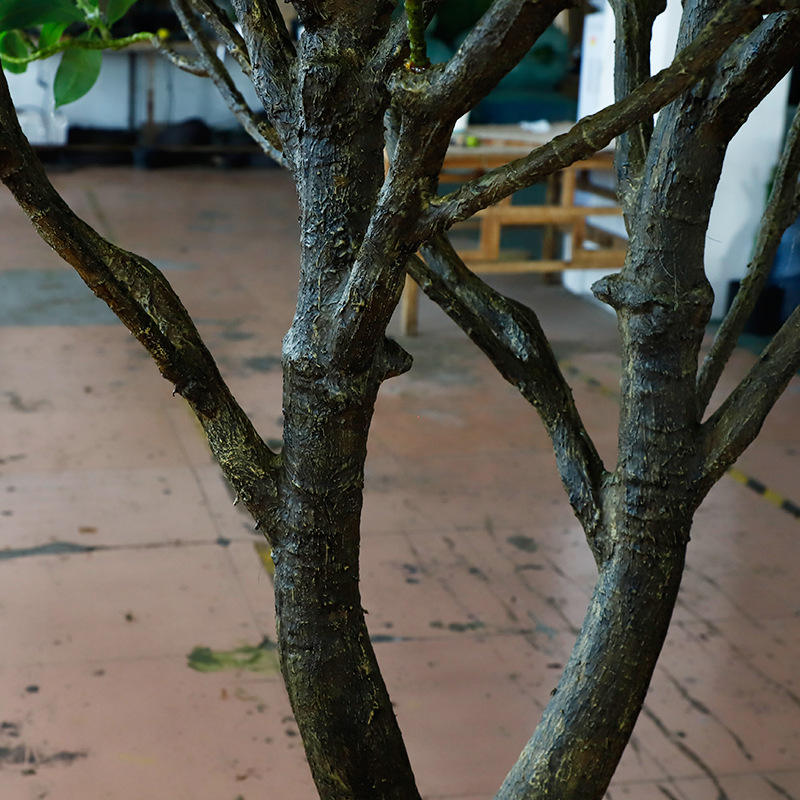 The mangrove trunk and tangled aerial roots at the base of the 8ft faux tree
