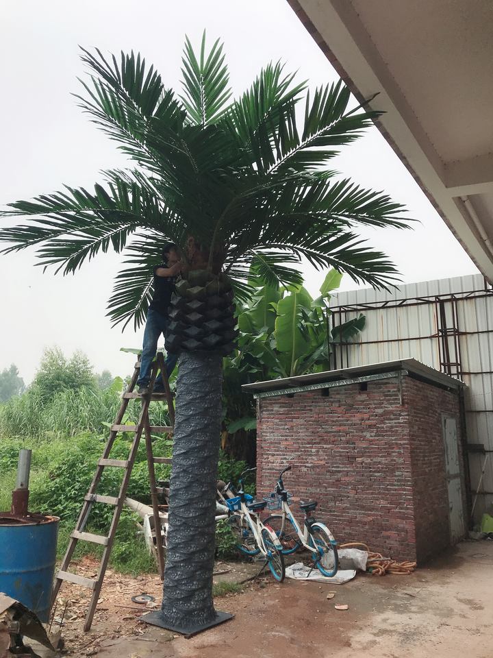 The tall date palm rising through a hotel atrium beside a mezzanine level