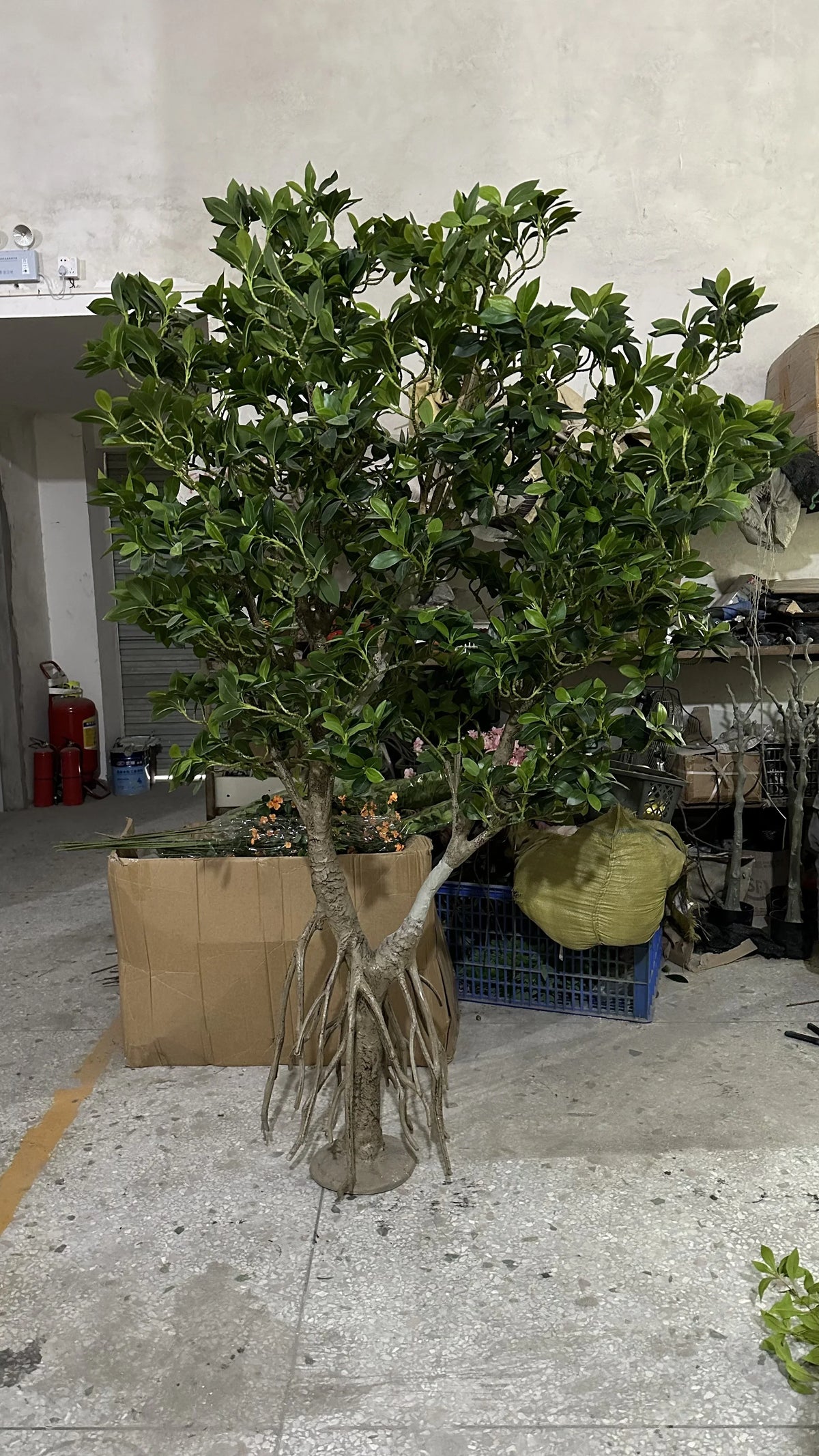 The mangrove set into an aquarium as part of a scenic underwater display