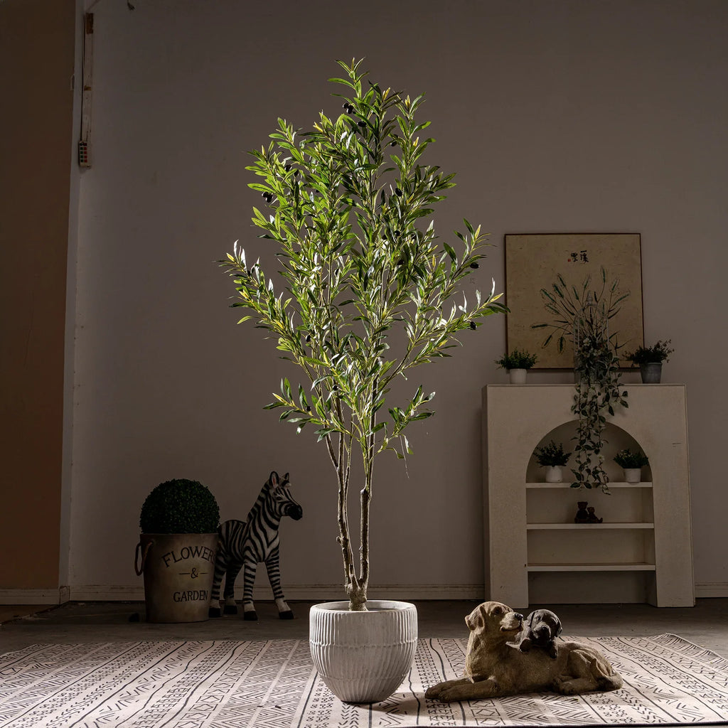 The moulded trunk of the 210cm olive tree, textured with gnarled bark
