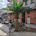 Artificial date palm standing 6m tall, its fronds arching from a thick fibrous trunk