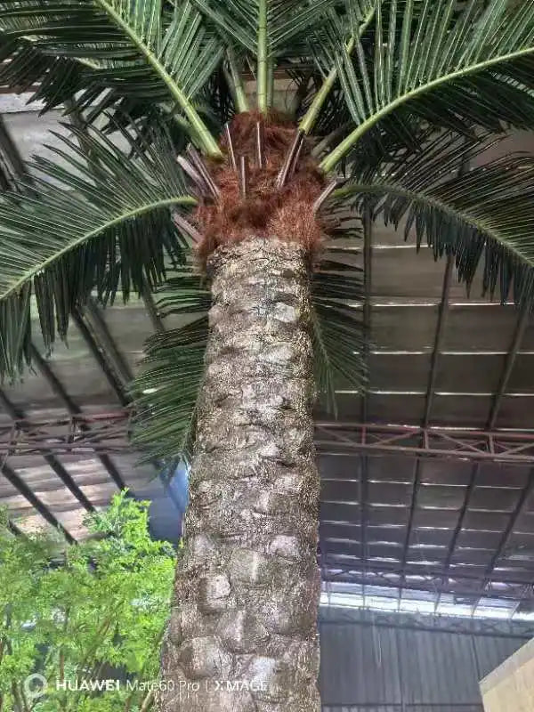 Coconut palms used as landscape theming around a themed playground area
