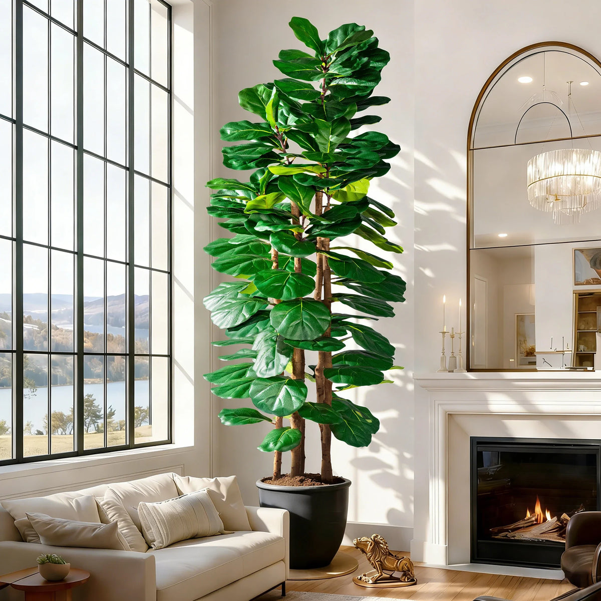 The ficus tree in an office lobby standing beside a glazed partition