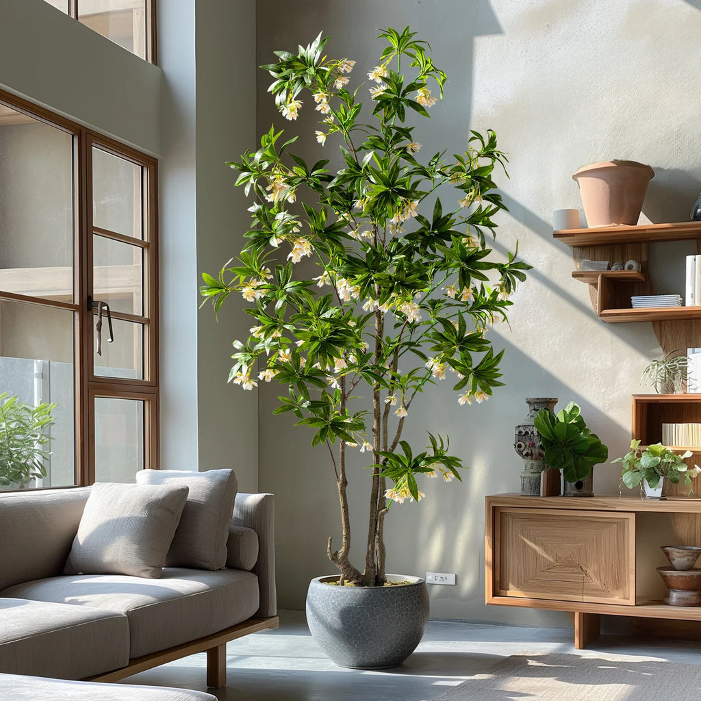 The potted Pieris plant used as desk greenery in a home office setting