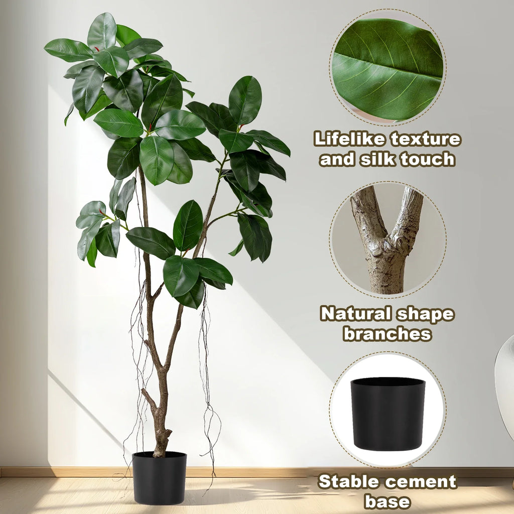 The crown of the 5.4ft banyan fig seen from above, leaves fanning out