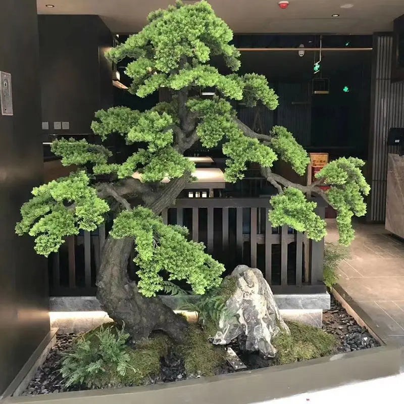 Branch pads of the pine bonsai seen from above, layered open in tiers
