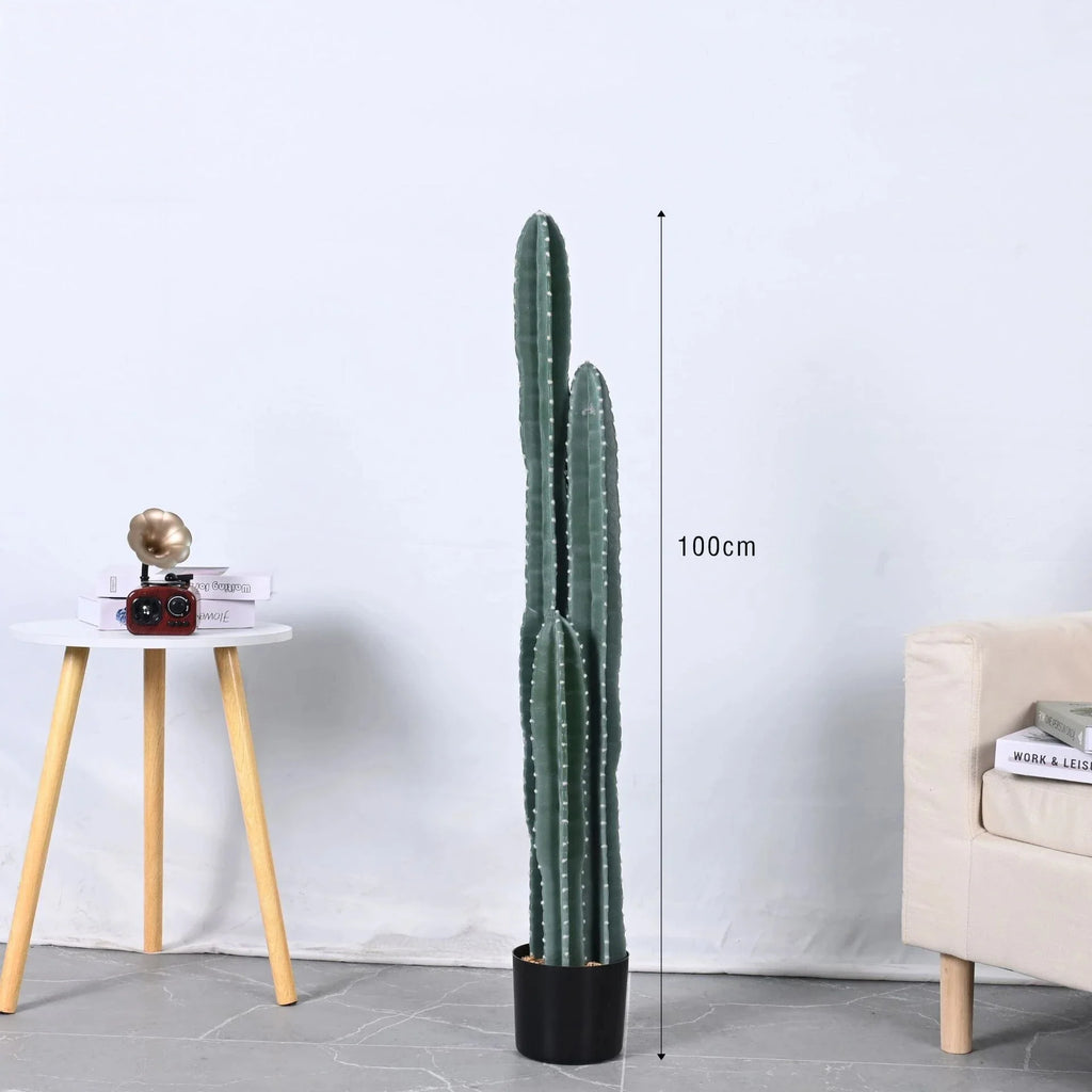 The rounded growing tops of the three cactus columns seen close up