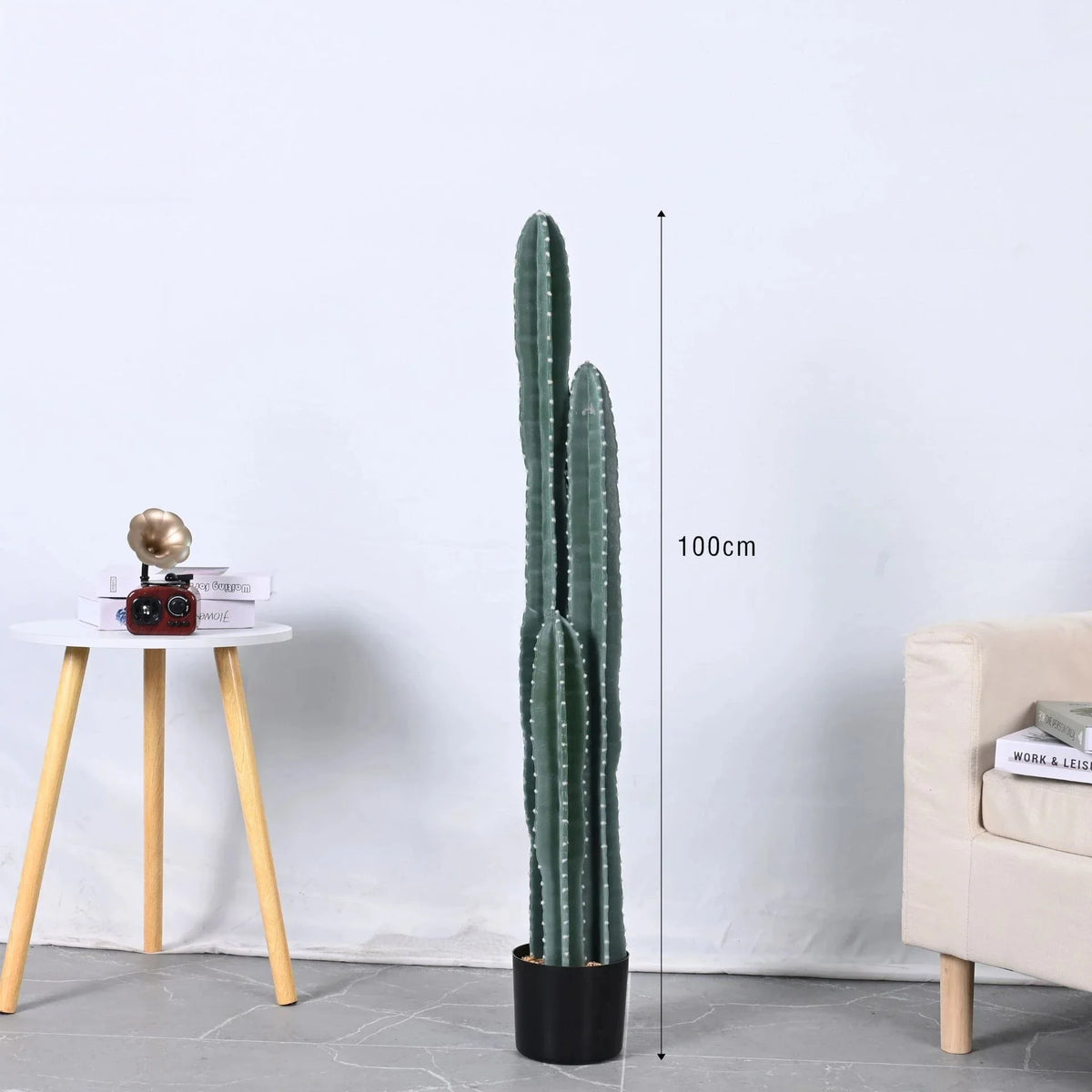 The rounded growing tops of the three cactus columns seen close up