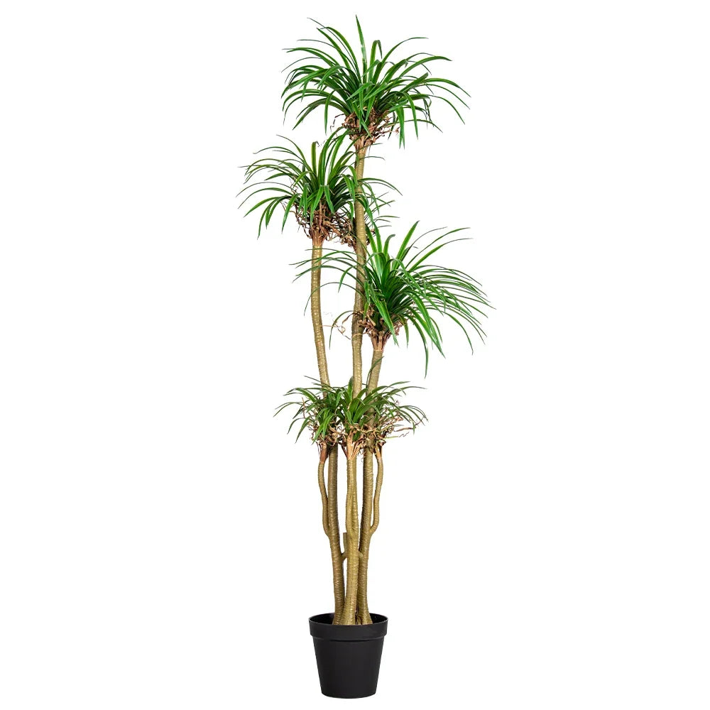 Pot and base of the large artificial dracaena marginata, topped with stones