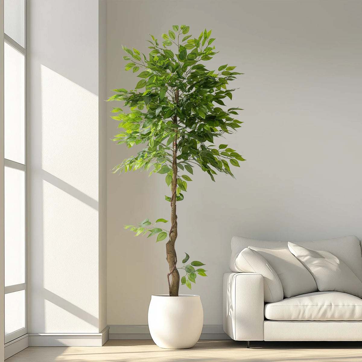 Close-up of the ficus leaves showing their glossy oval shape and fine veining