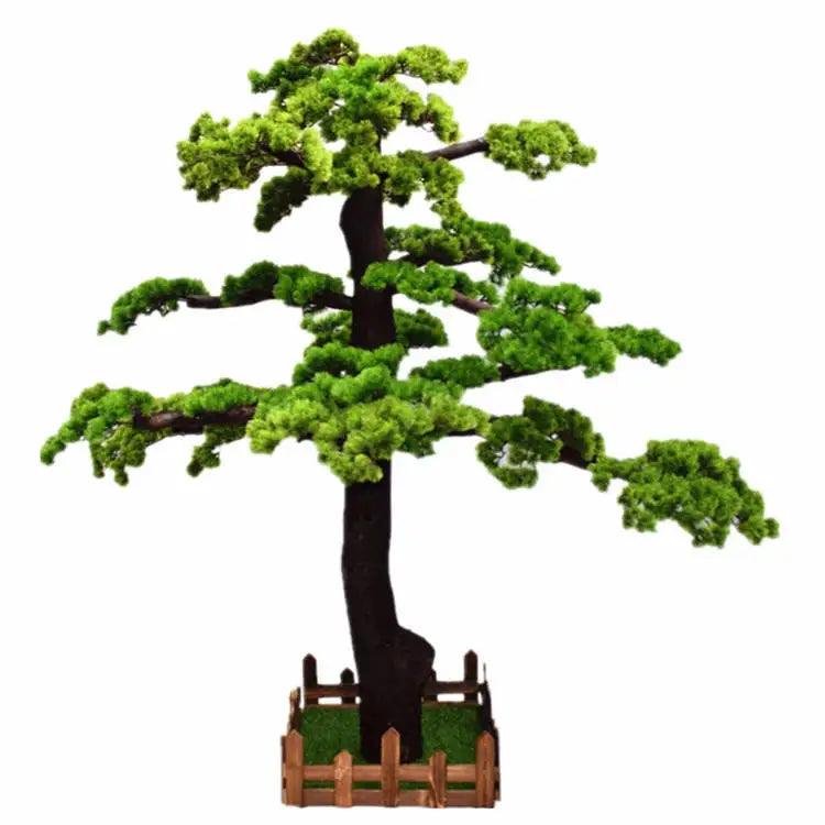 The bonsai pine in a commercial lobby standing beside a full-height glazed wall